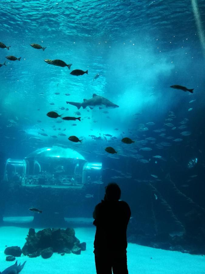 Las Canteras Aquarium Las Palmas de Gran Canaria Eksteriør bilde