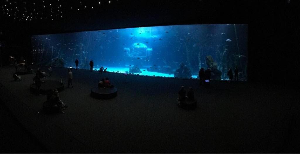 Las Canteras Aquarium Las Palmas de Gran Canaria Eksteriør bilde
